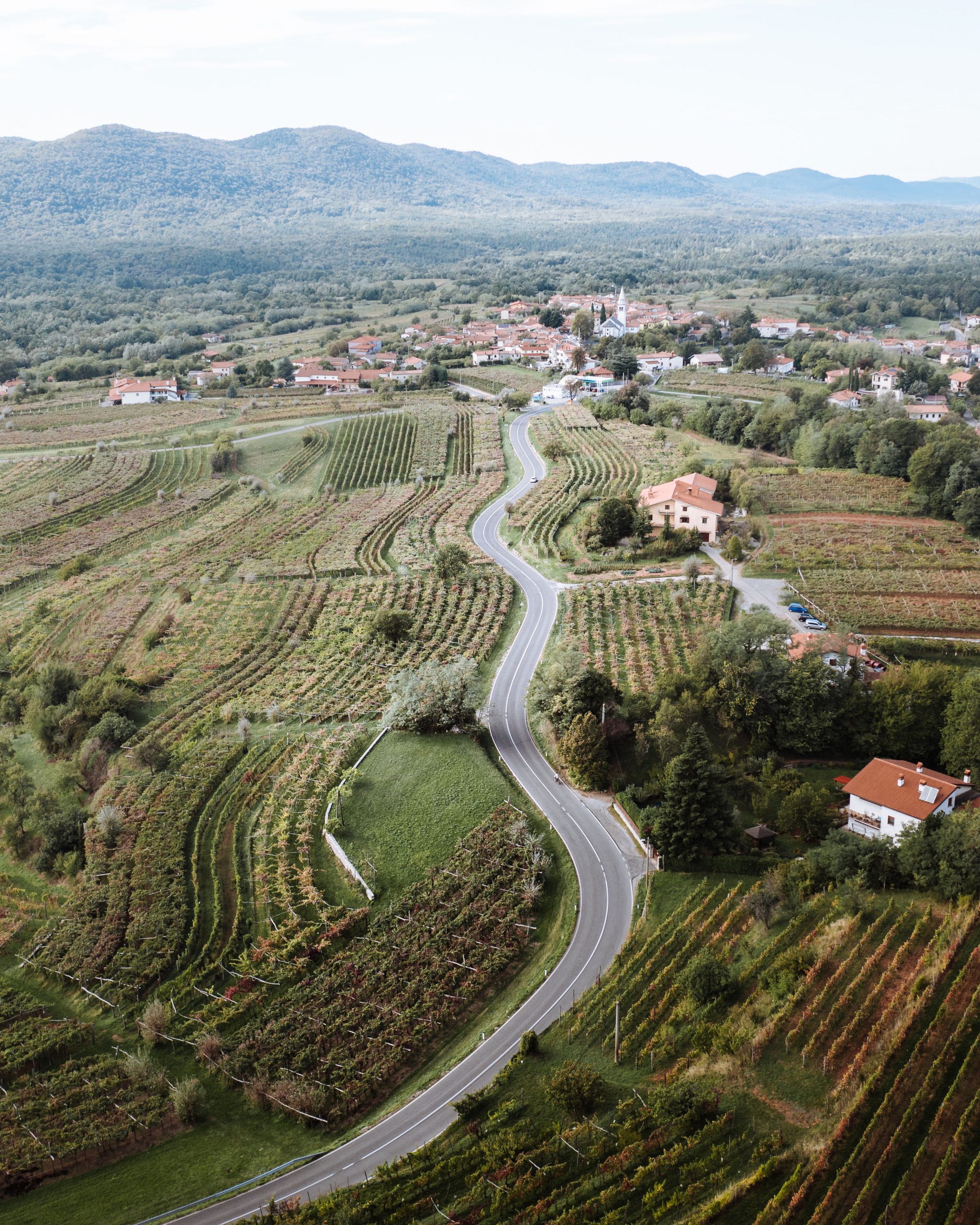 Dutovlje