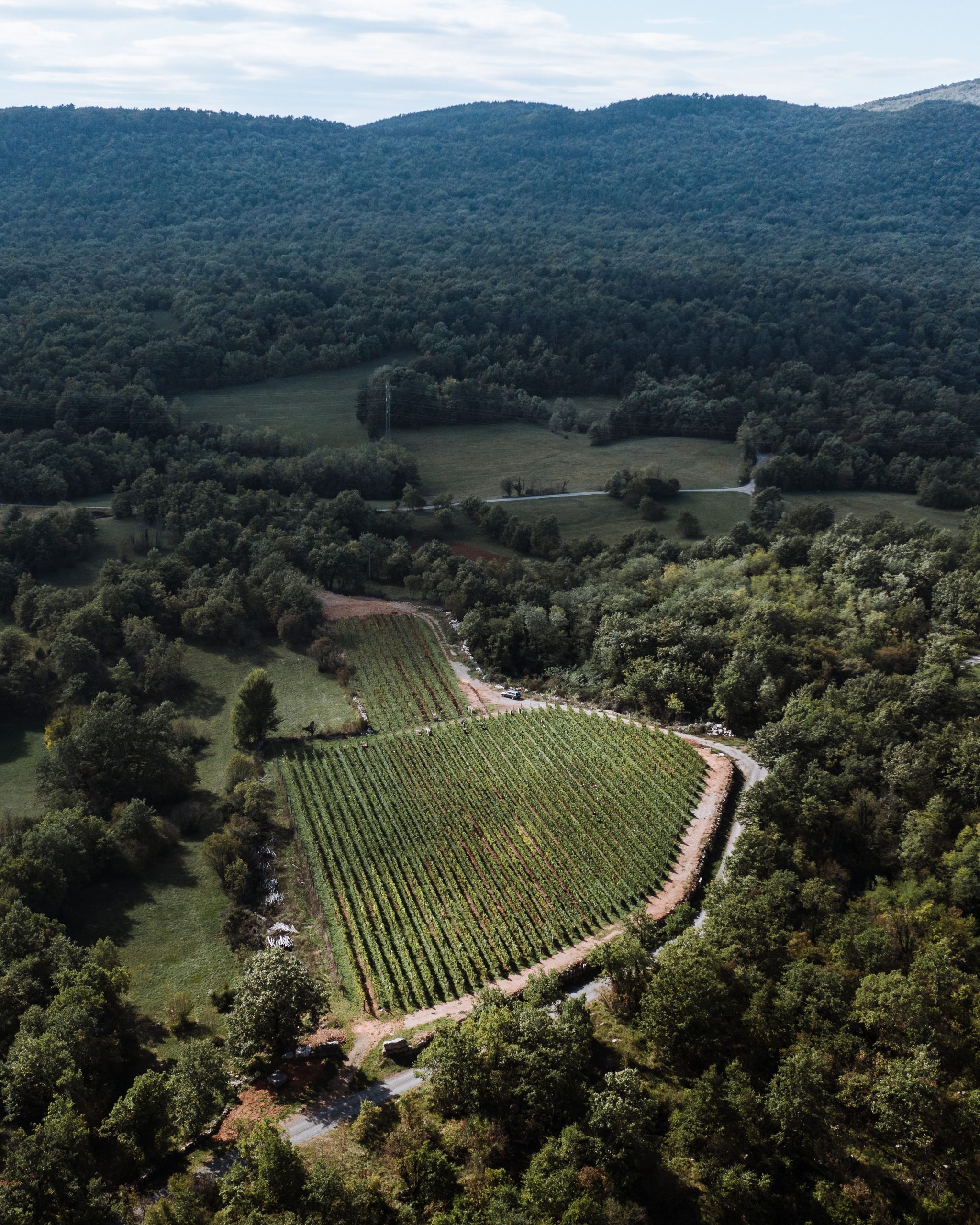 DJI_0427